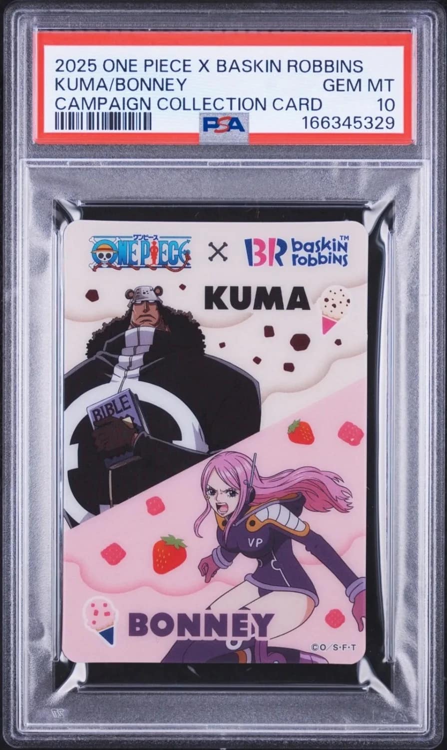 Kuma/bonney