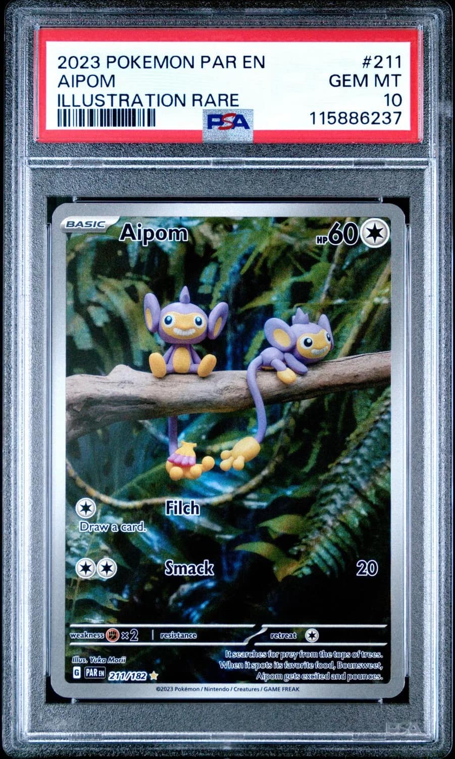 Aipom