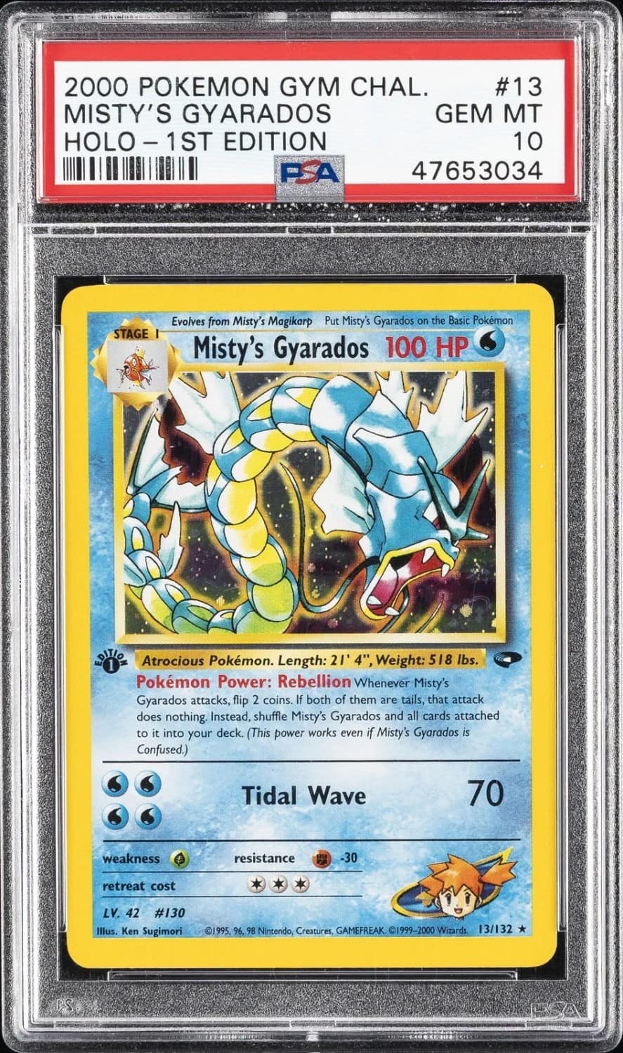 Misty'S Gyarados