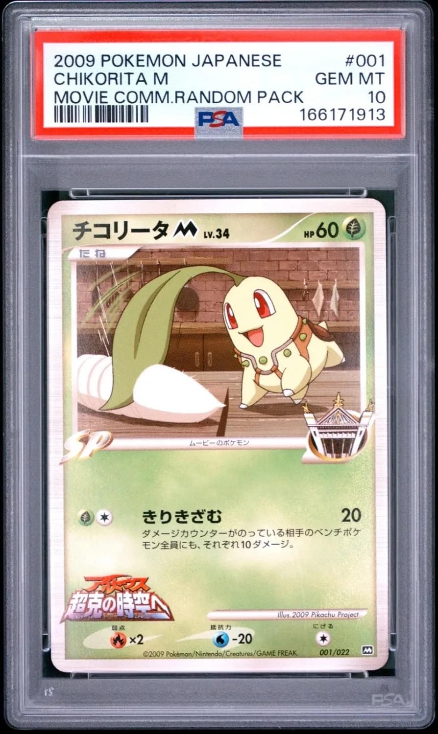 Chikorita M