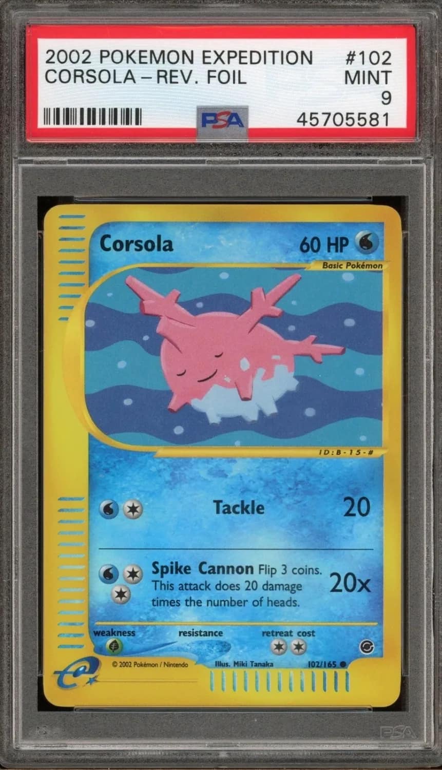 Corsola