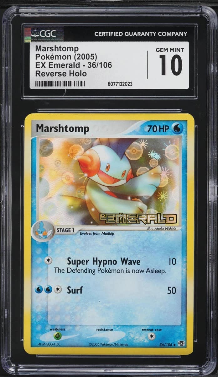 Marshtomp