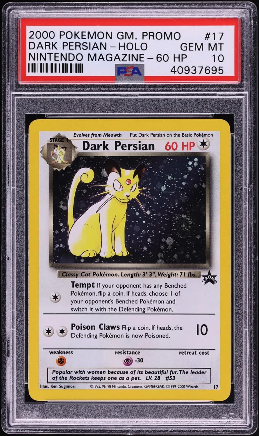 Dark Persian