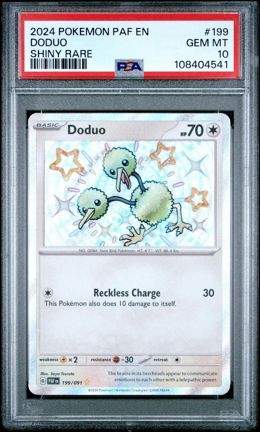 Doduo