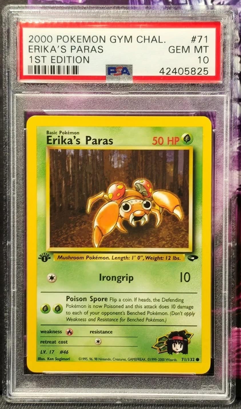 Erika'S Paras