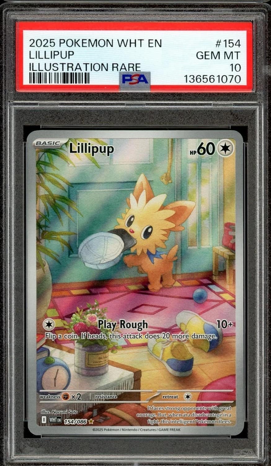 Lillipup