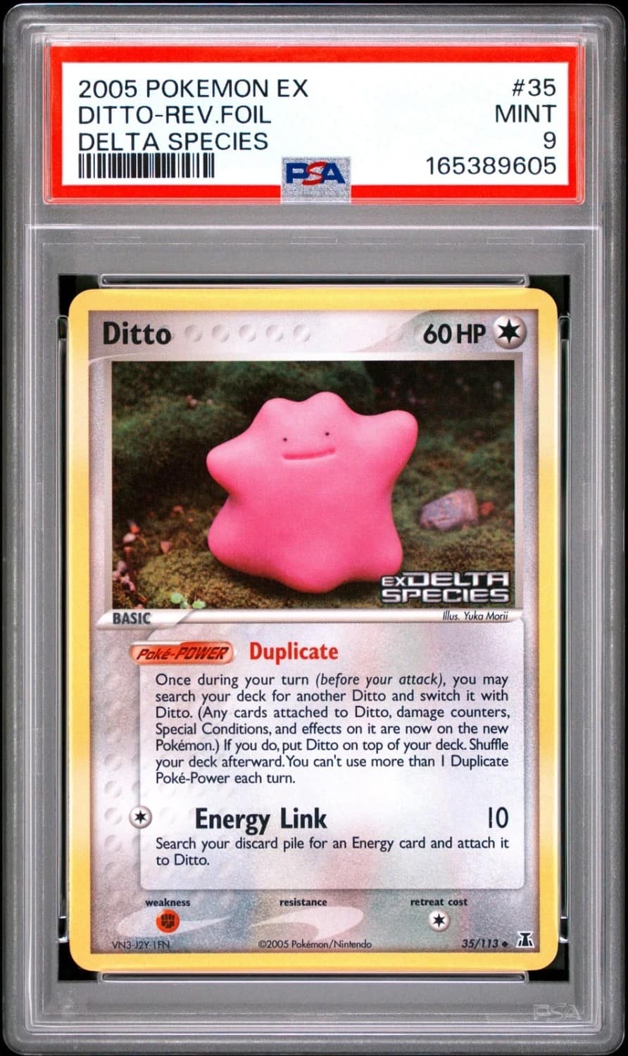 Ditto