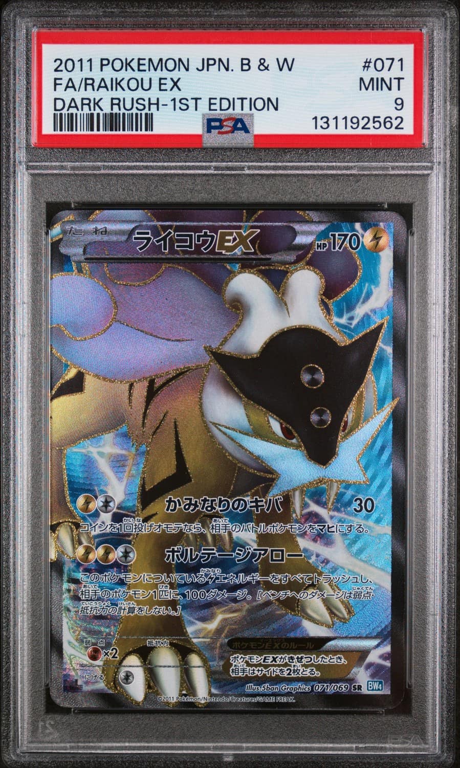 Raikou Ex