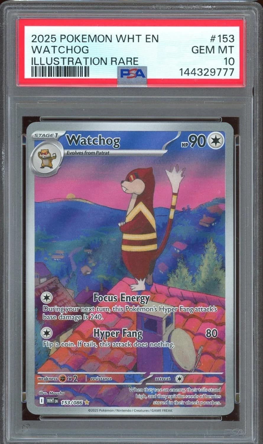 Watchog