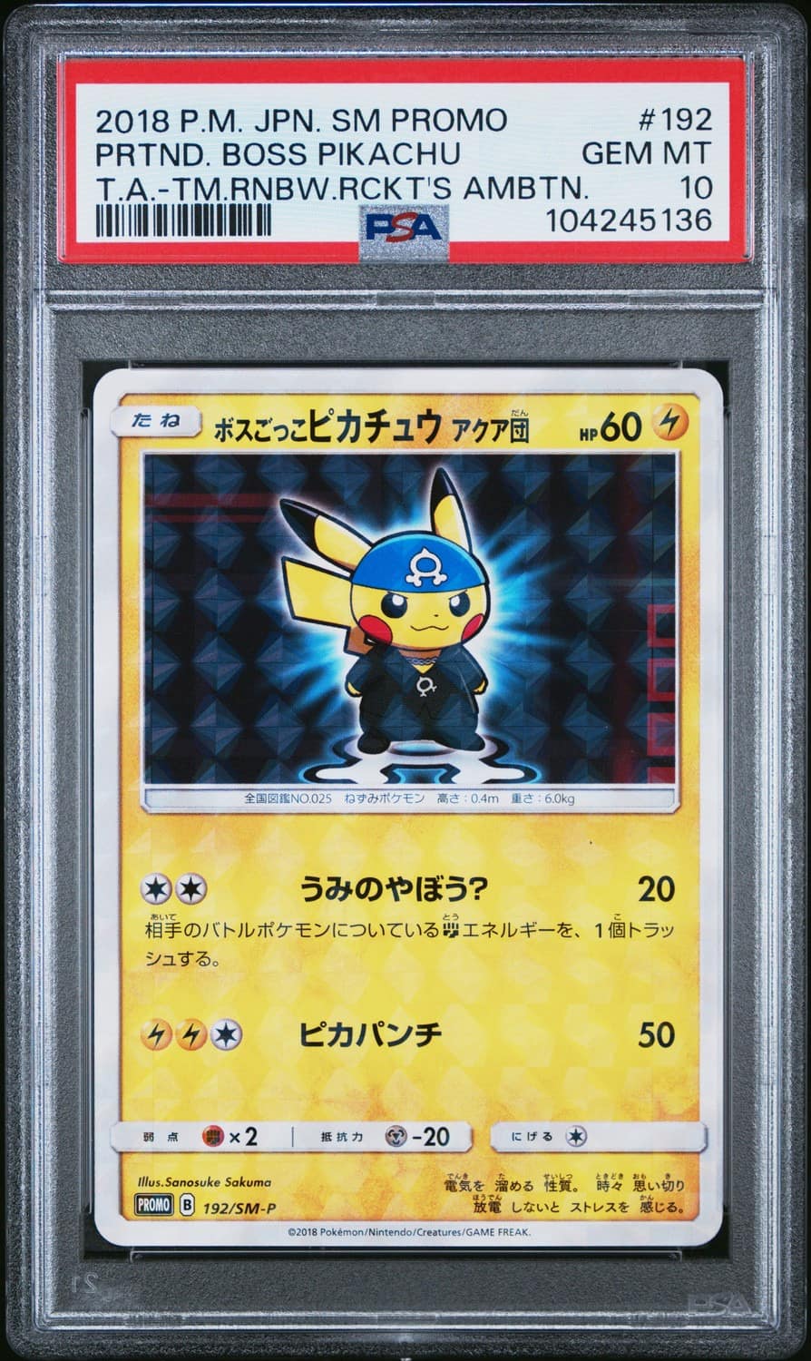 Pretend Boss Pikachu Team Aqua
