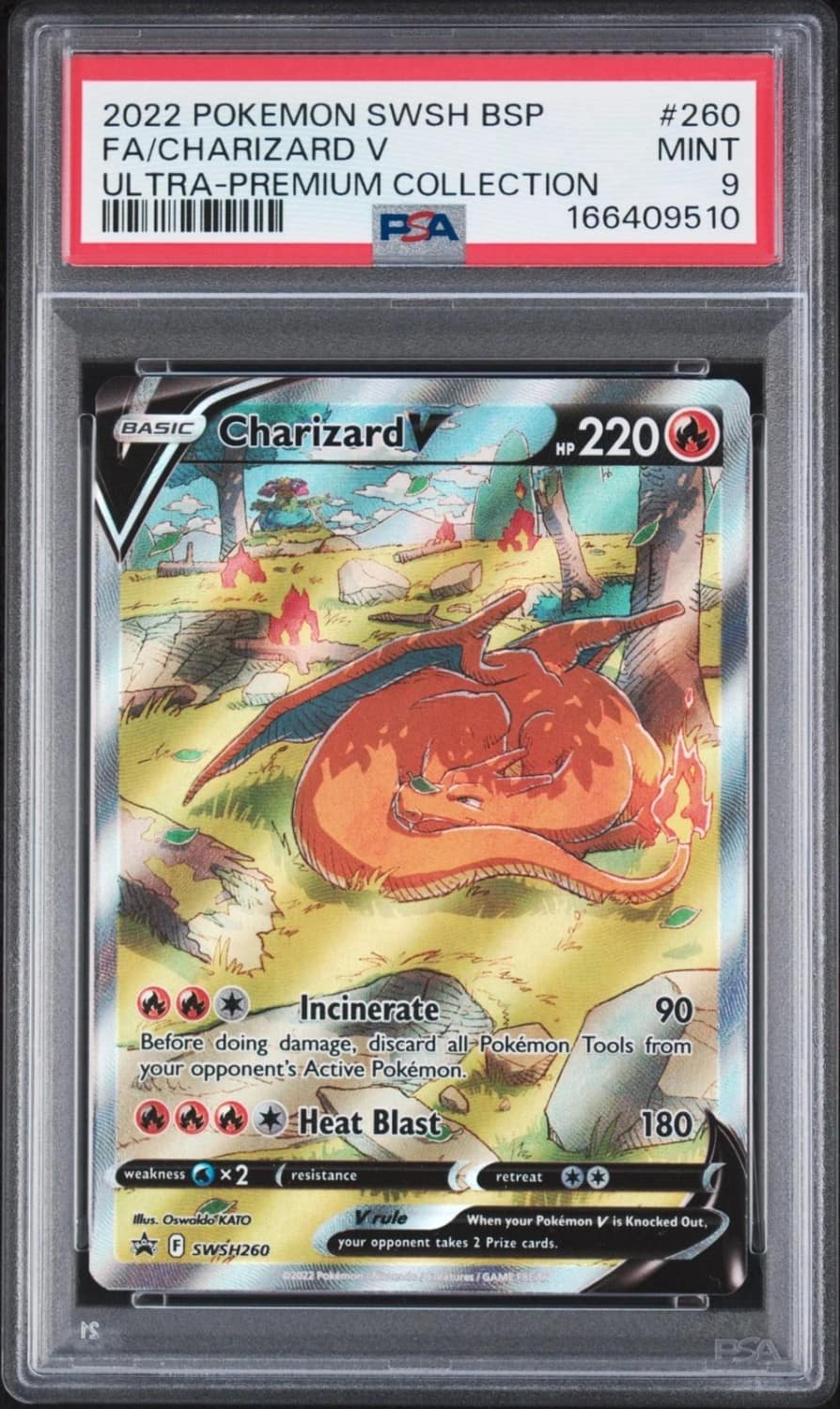 Charizard V