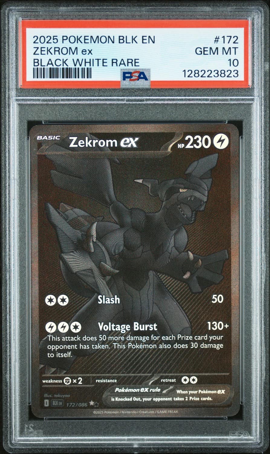 Zekrom Ex
