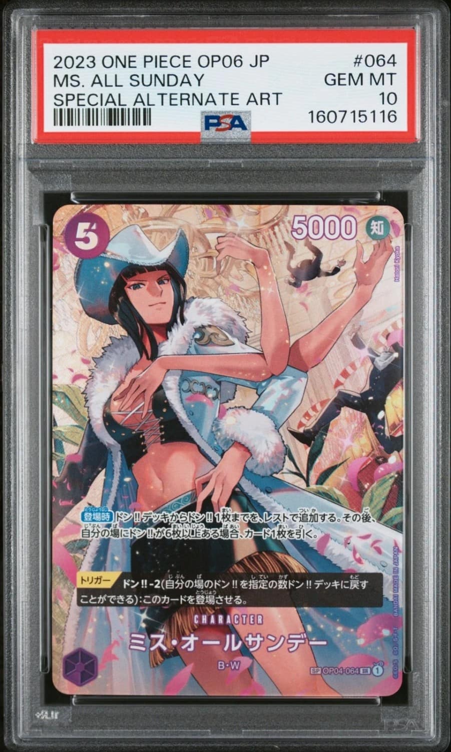 Ms. All Sunday Foil Sp