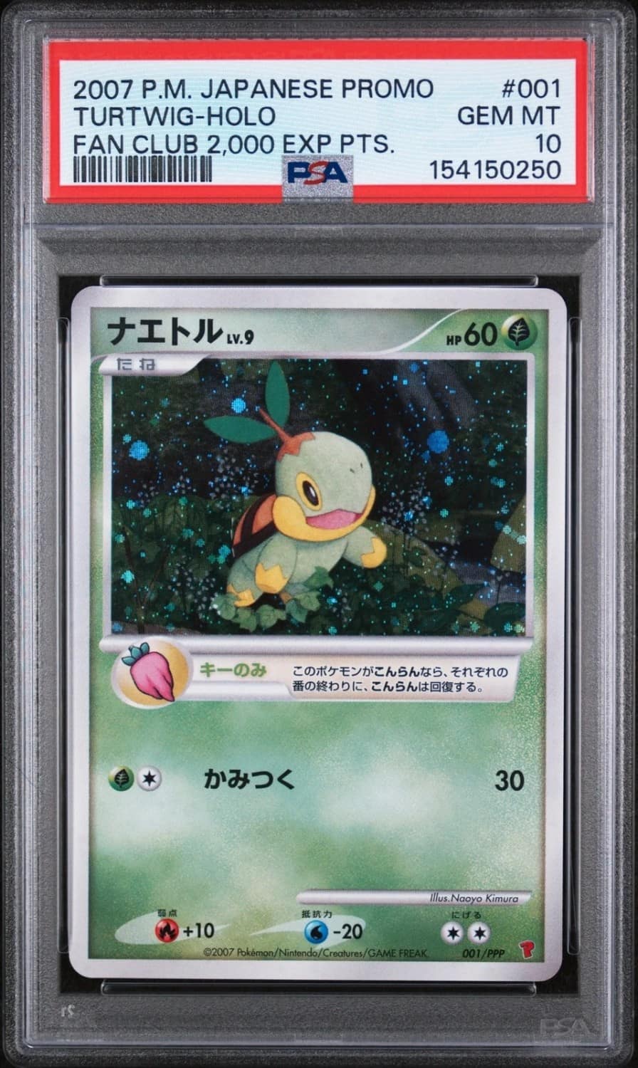 Turtwig