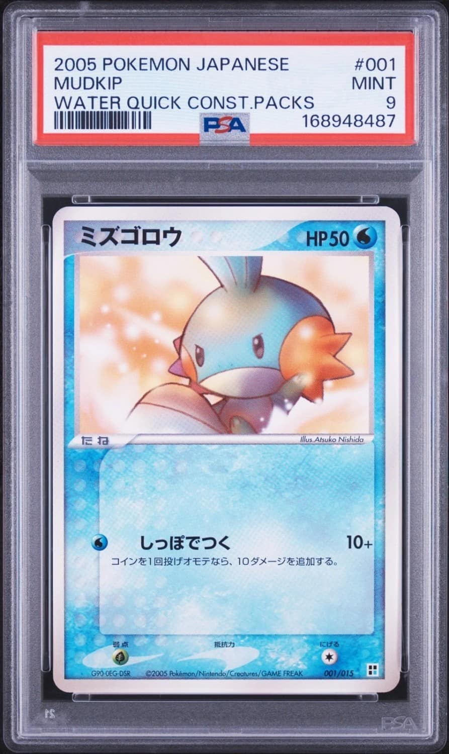 Mudkip
