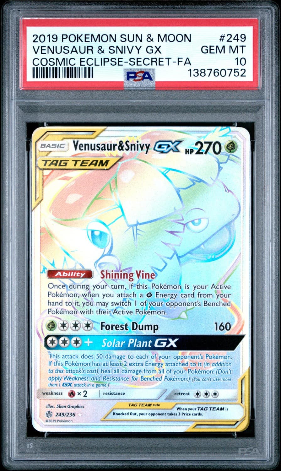 Venusaur & Snivy Gx