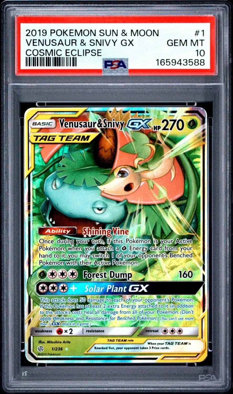 Venusaur & Snivy Gx