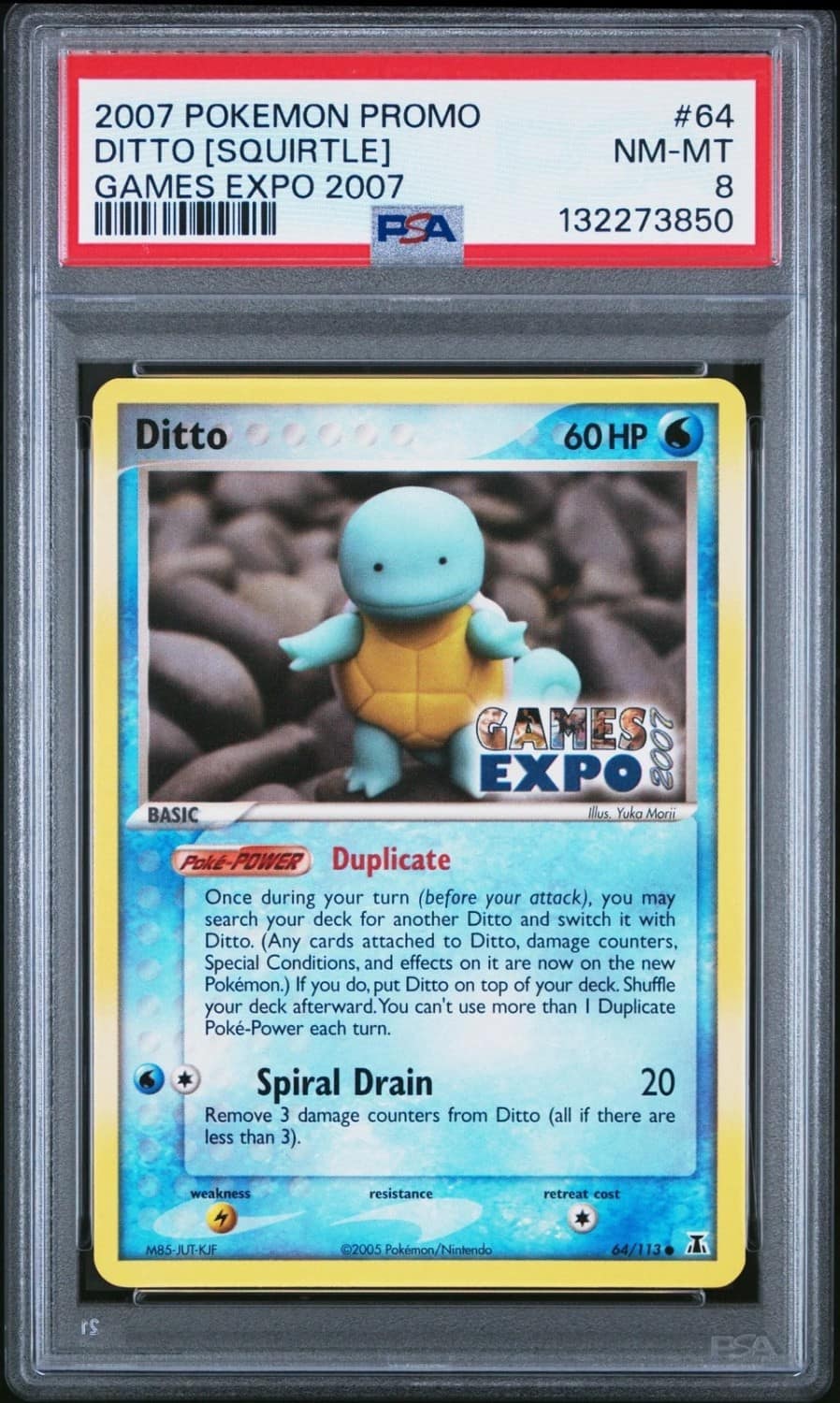 Ditto [squirtle]