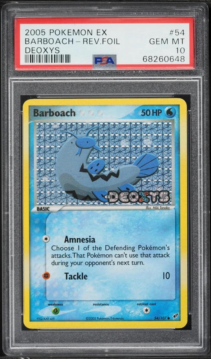 Barboach