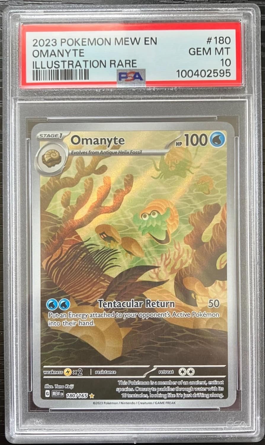 Omanyte
