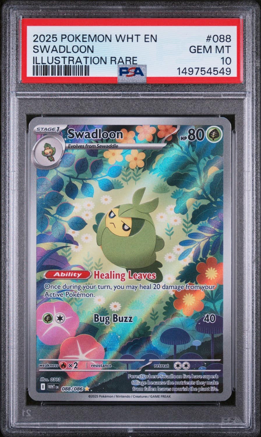 Swadloon