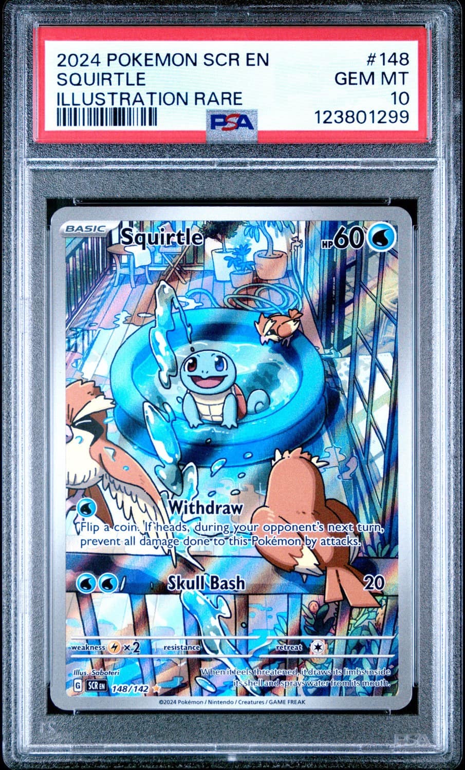 Squirtle