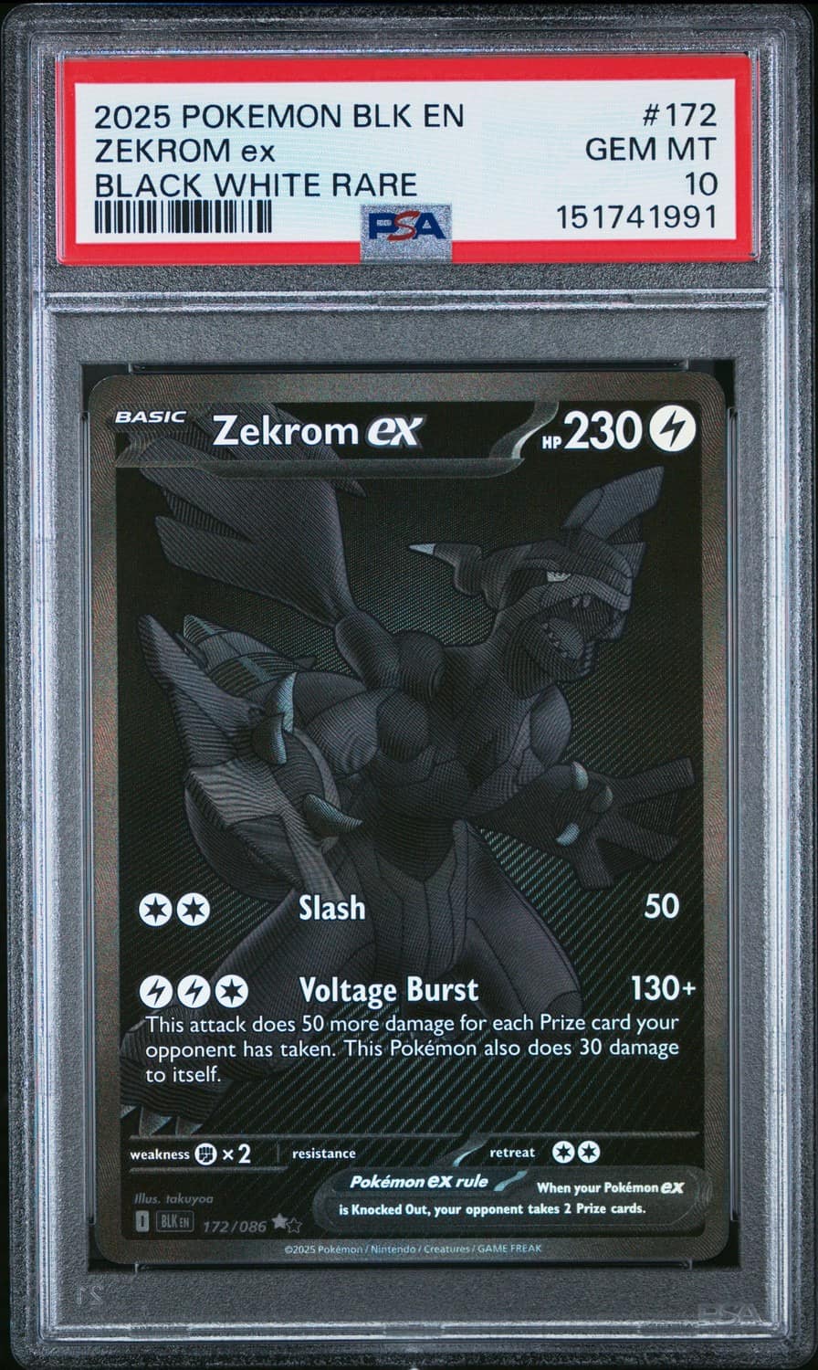 Zekrom Ex