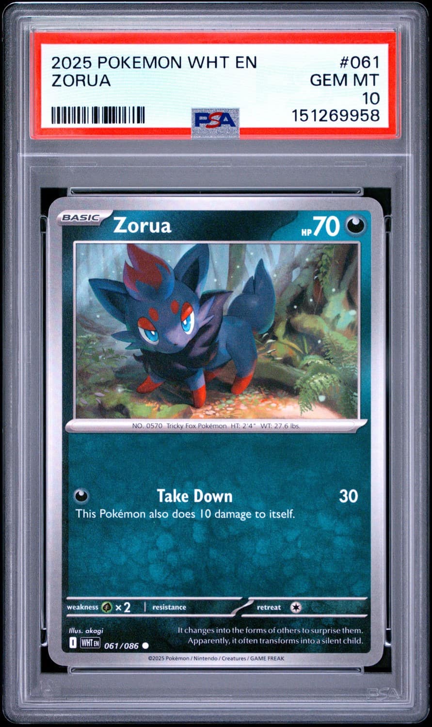 Zorua