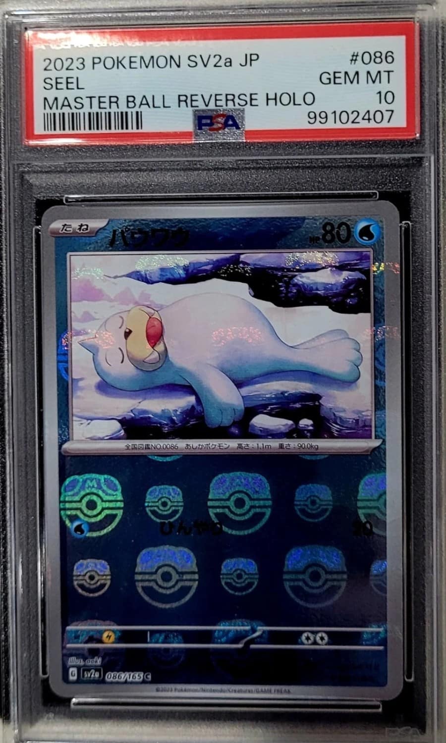 Seel