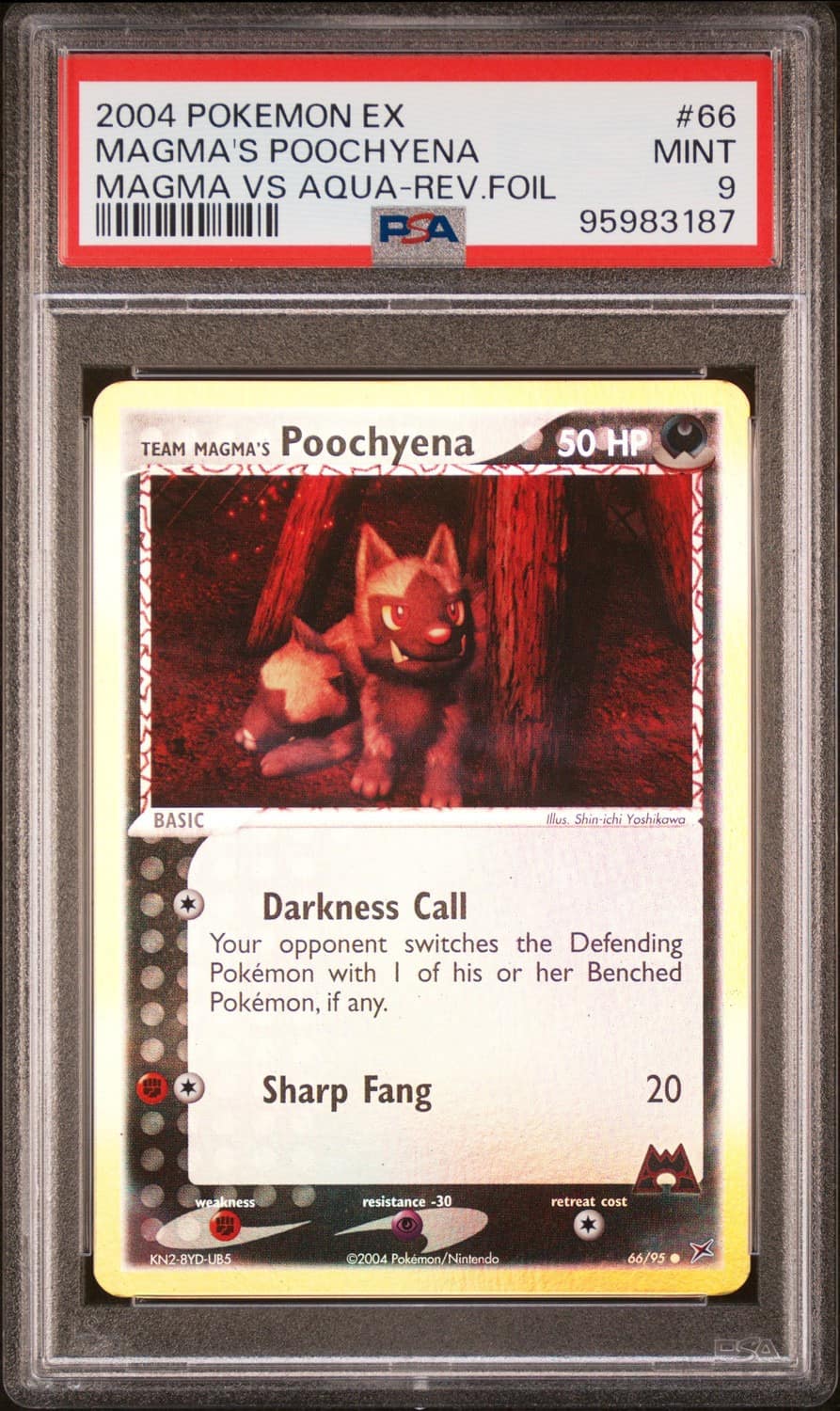 Magma'S Poochyena