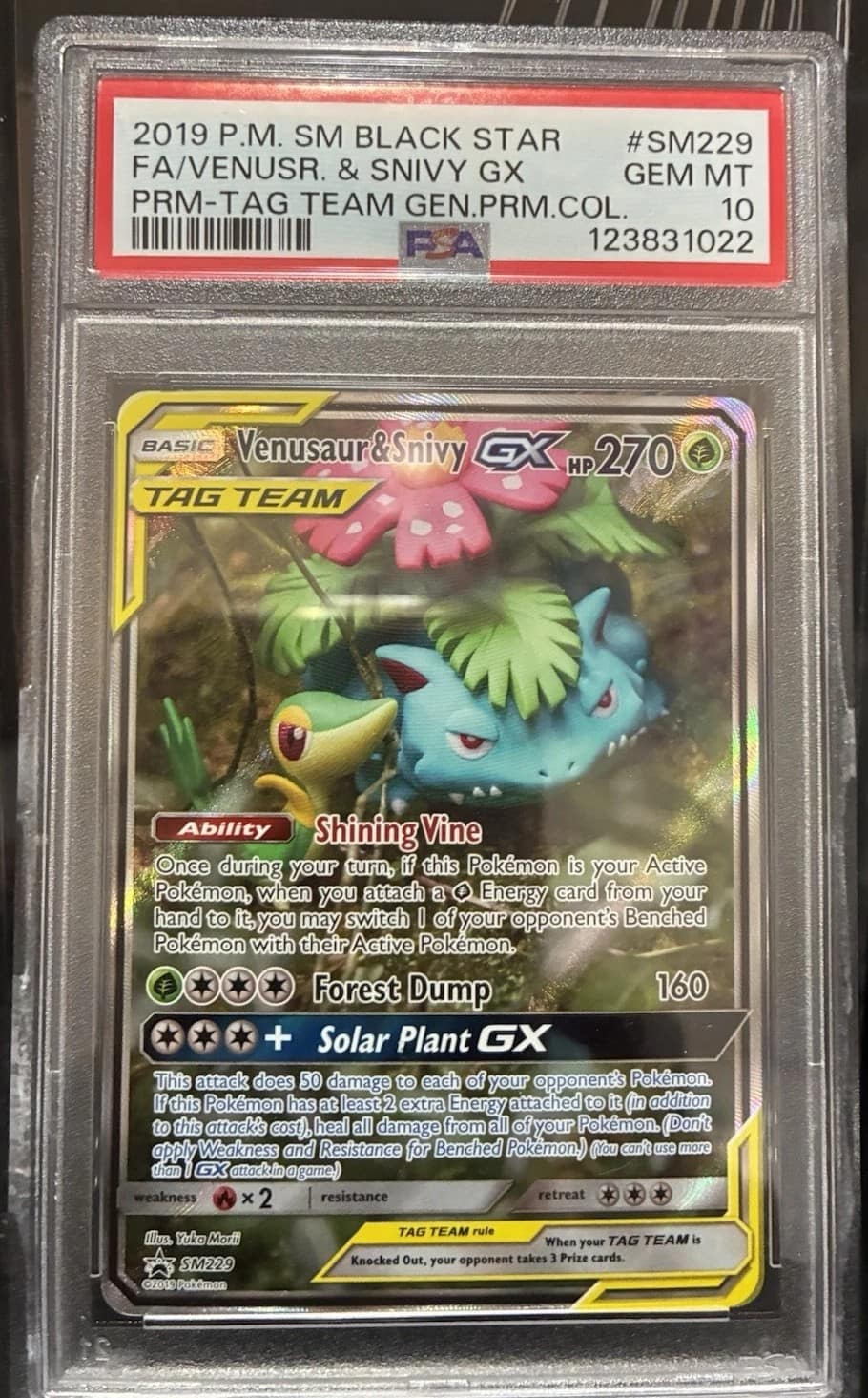 Venusaur & Snivy Gx