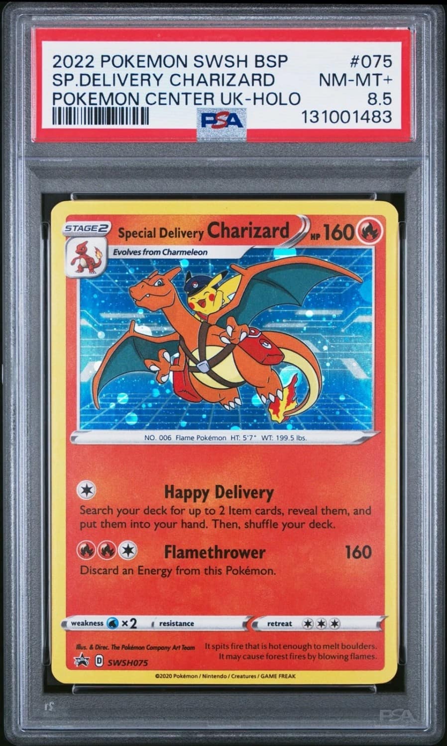 Special Delivery Charizard