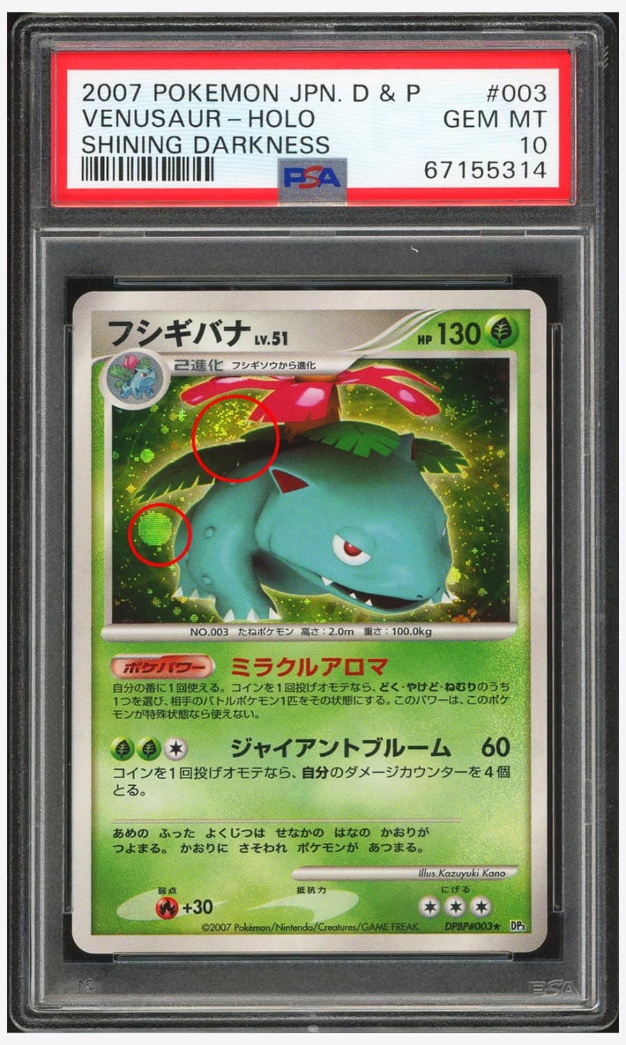 Venusaur