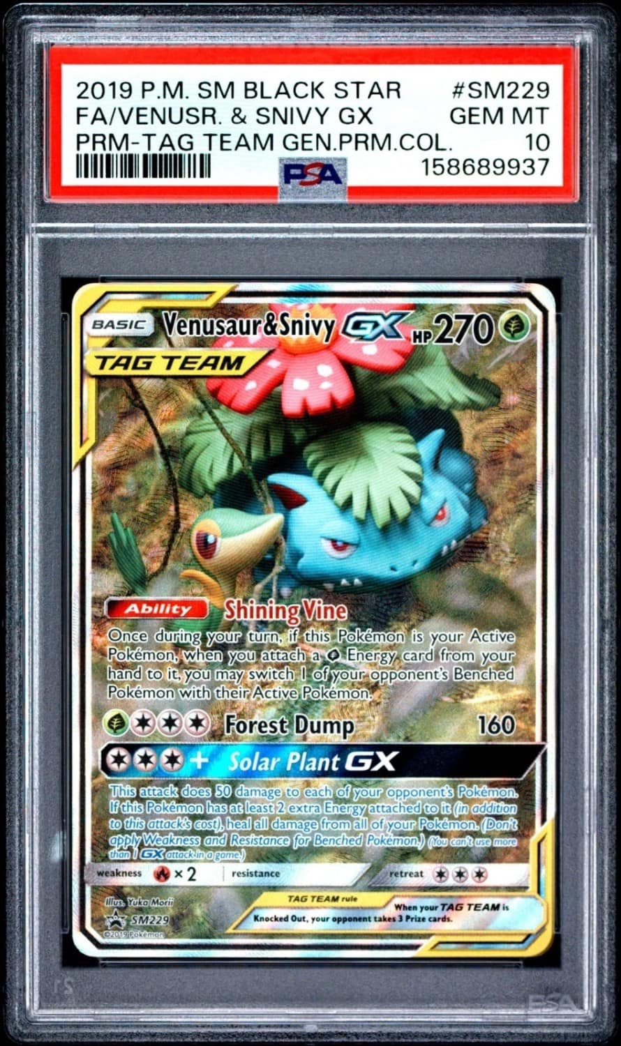 Venusaur & Snivy Gx