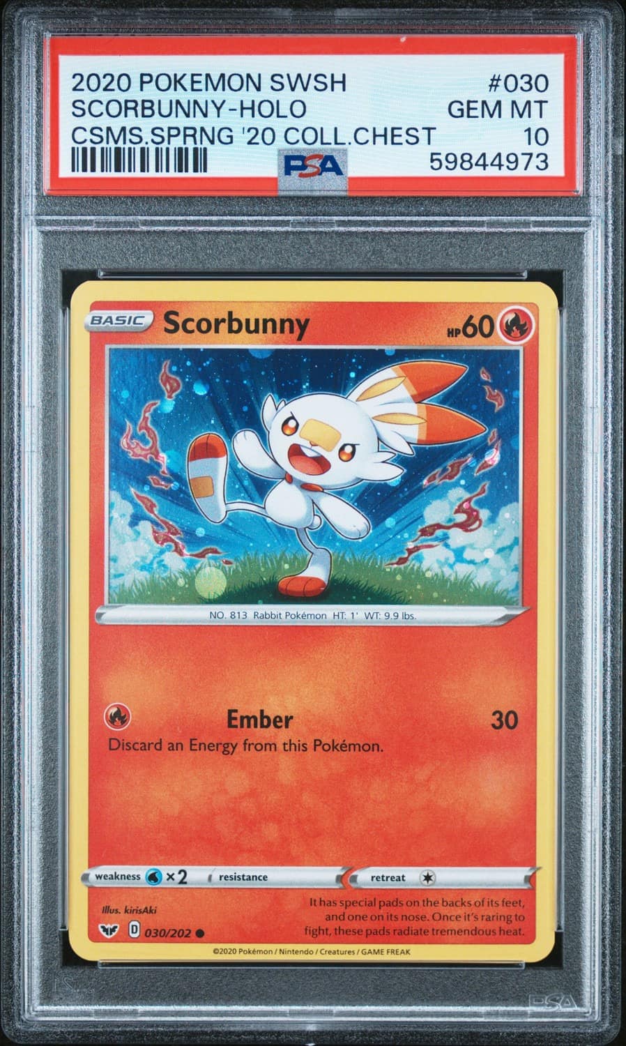 Scorbunny