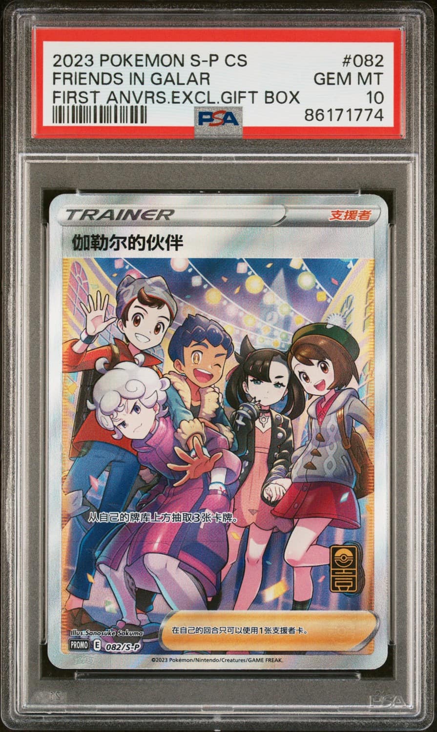 Friends In Galar