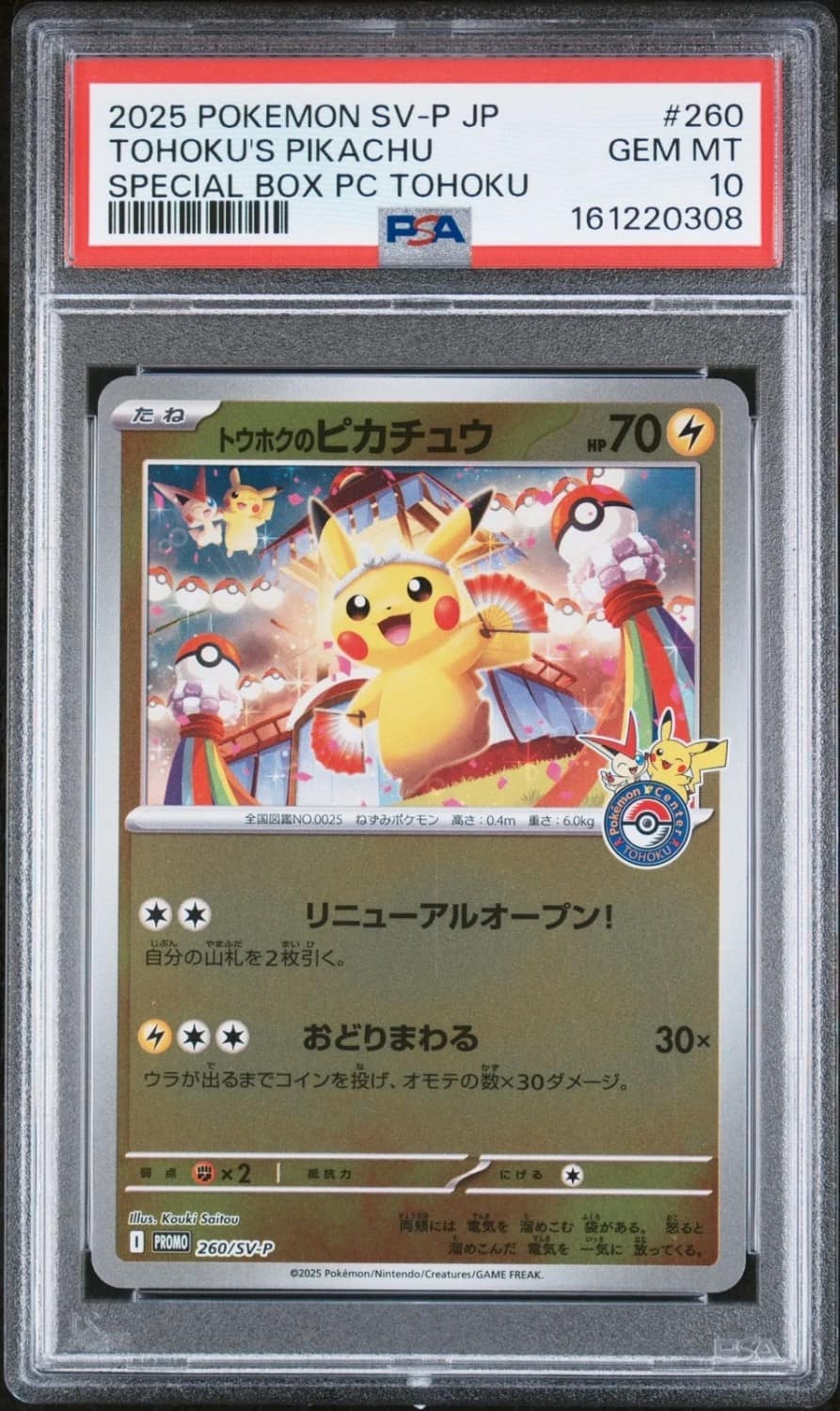 Tohoku'S Pikachu