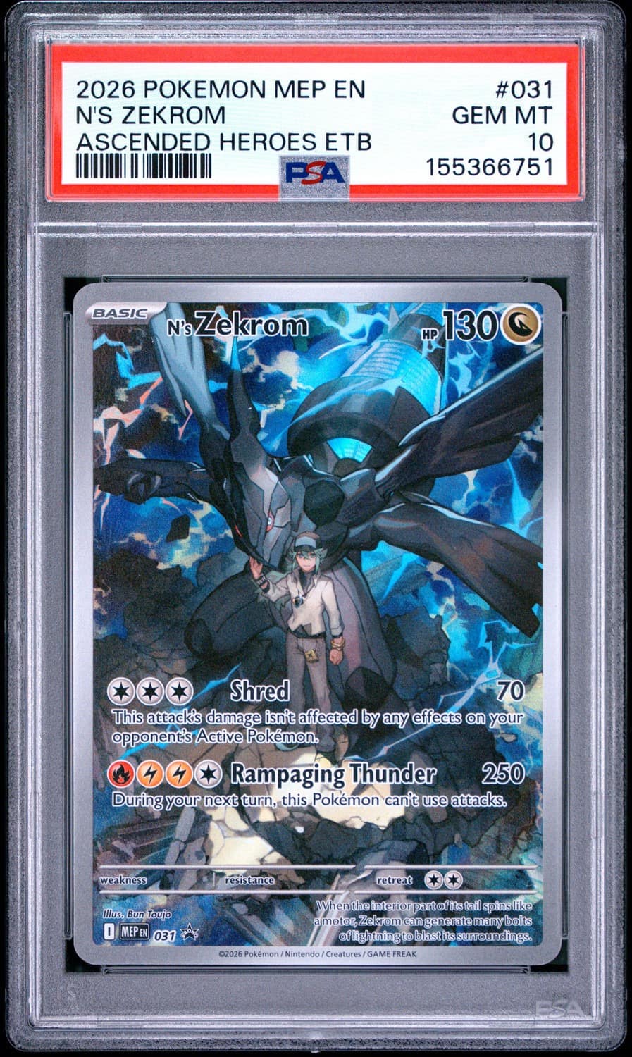 N'S Zekrom