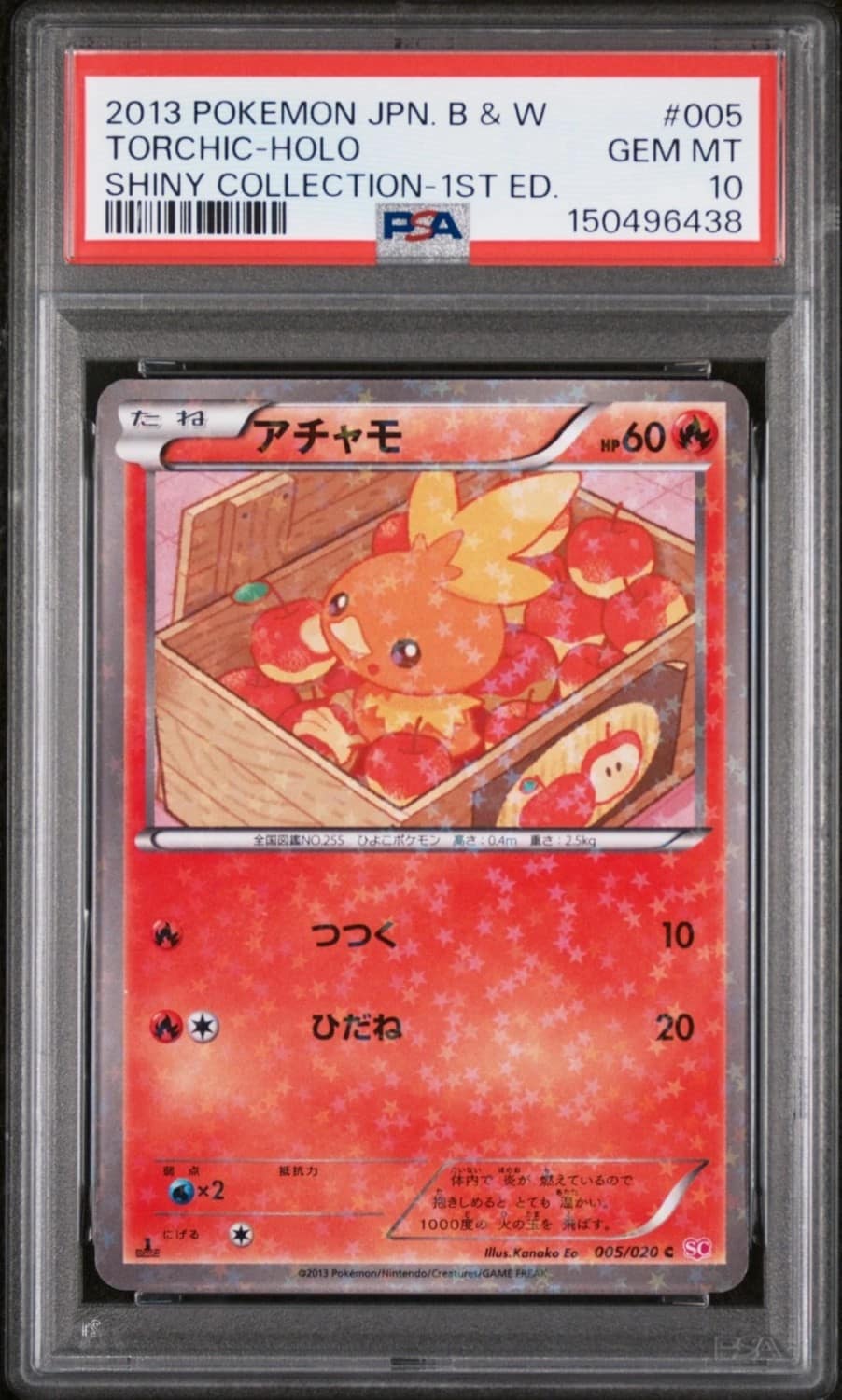 Torchic