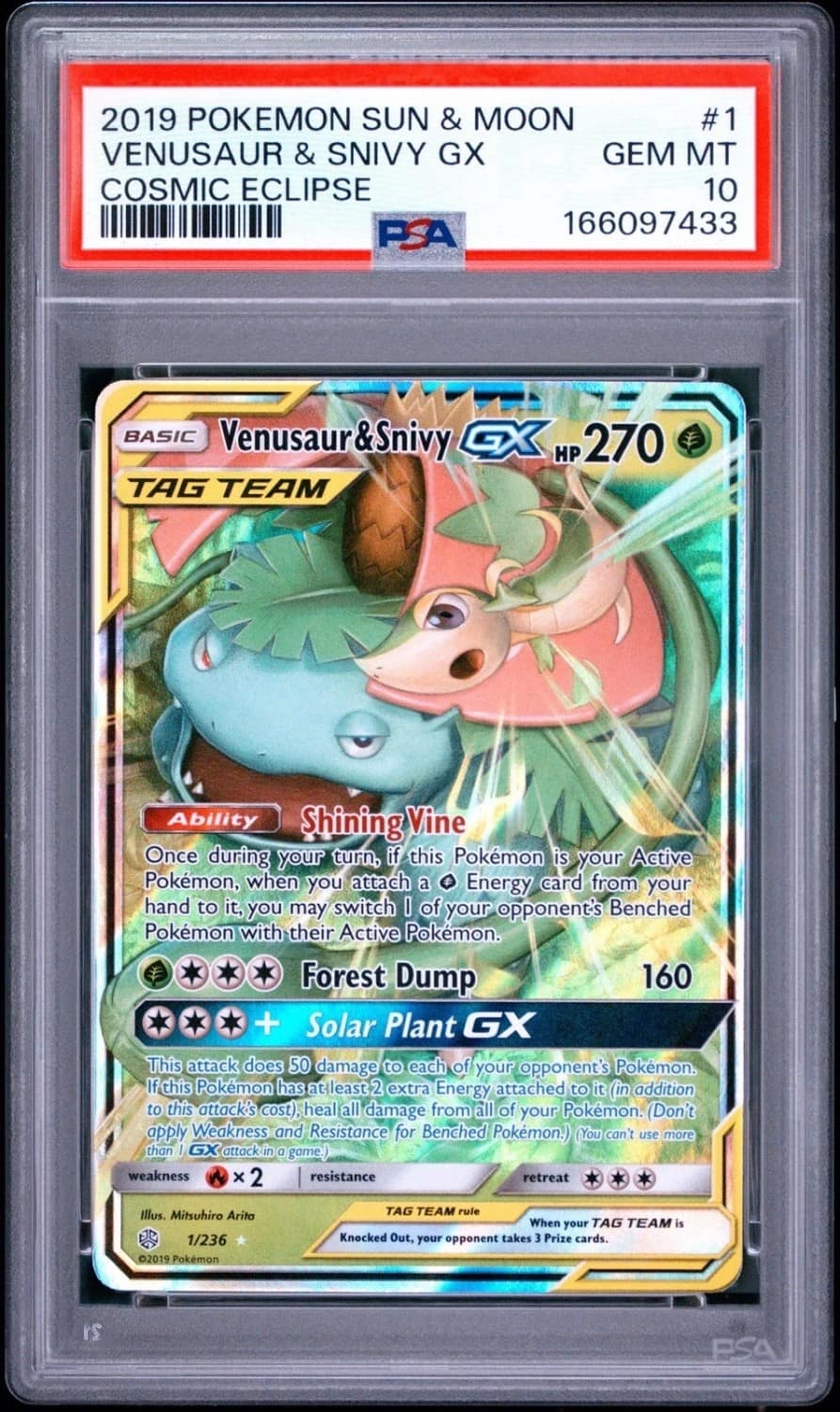 Venusaur & Snivy Gx