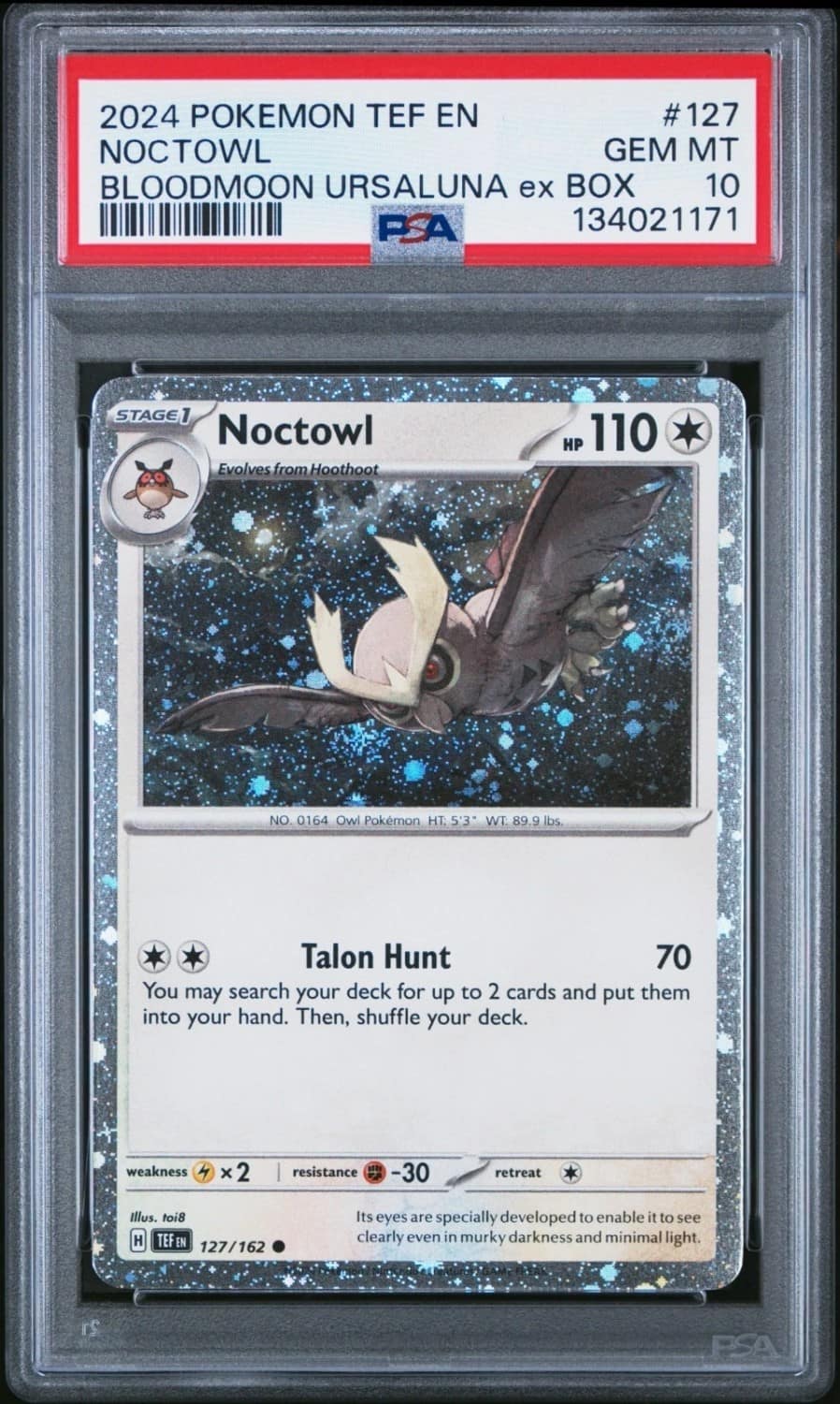 Noctowl