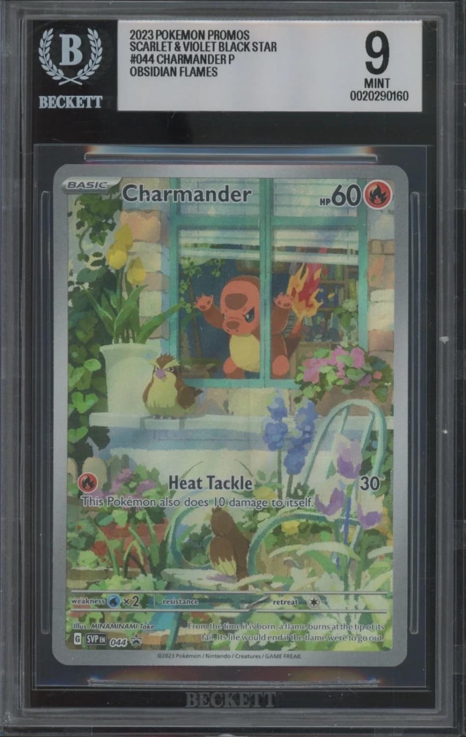 Charmander
