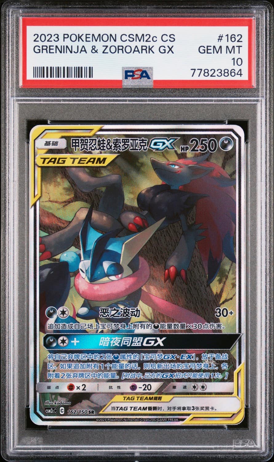 Greninja & Zoroark Gx