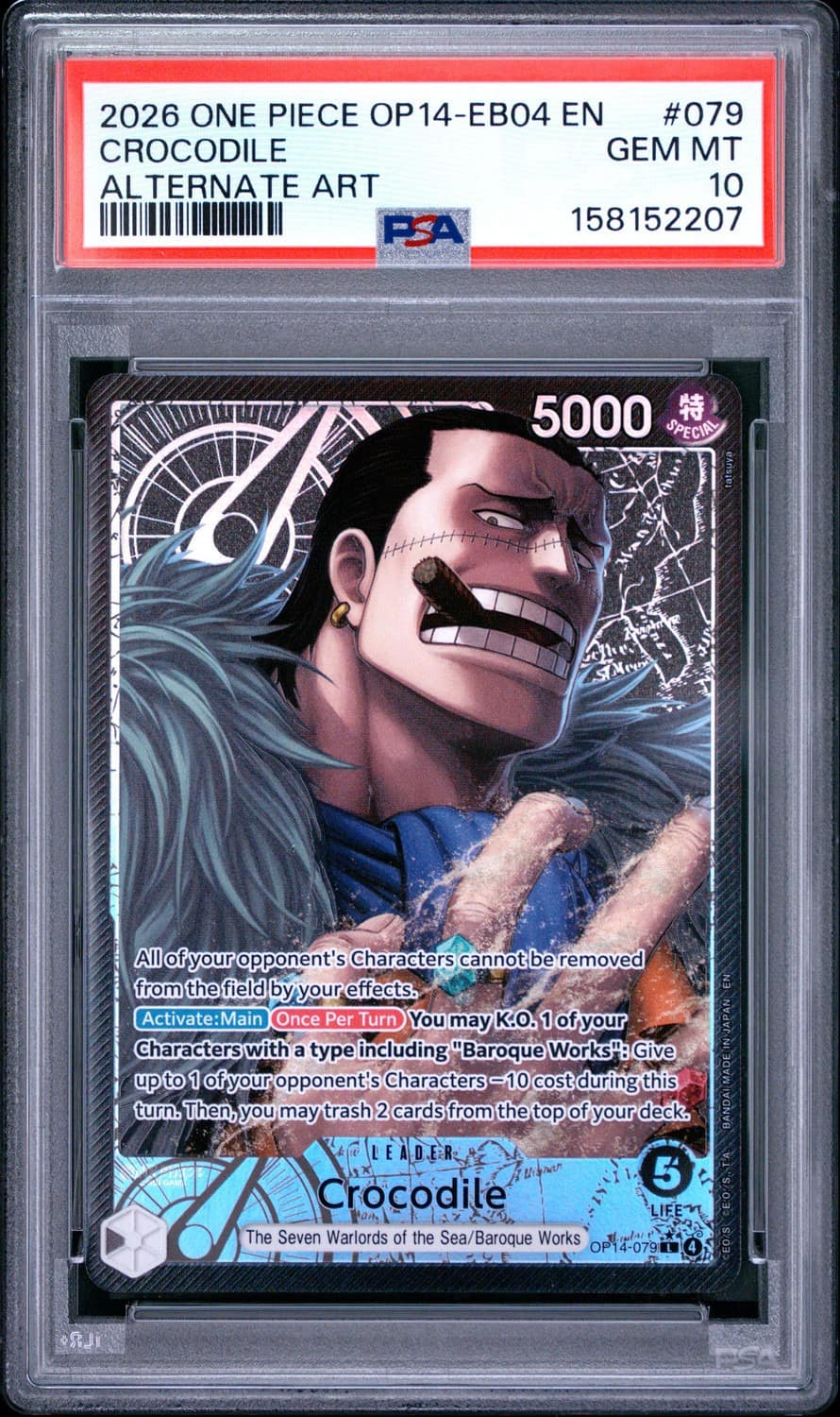 Crocodile