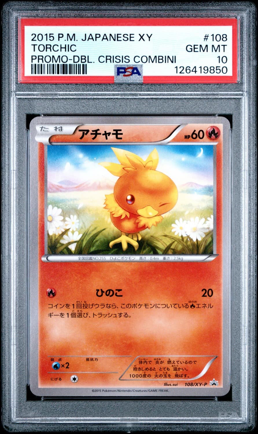 Torchic