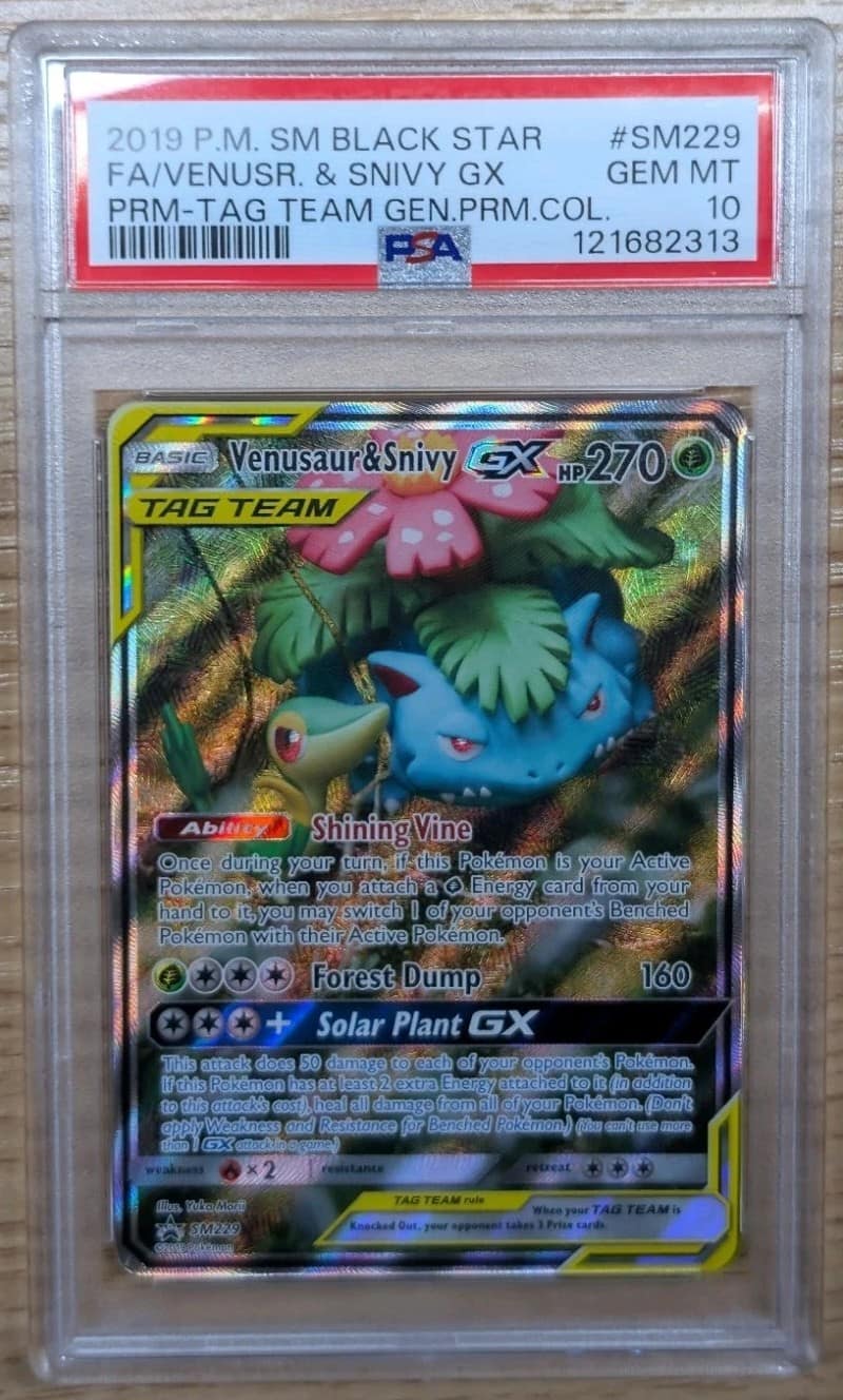Venusaur & Snivy Gx