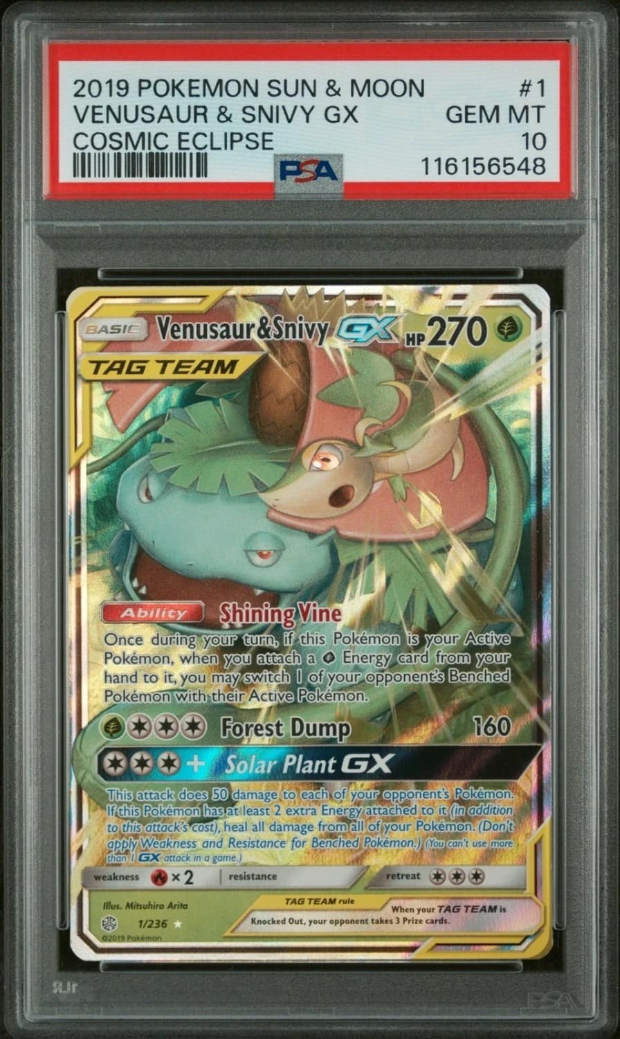 Venusaur & Snivy Gx