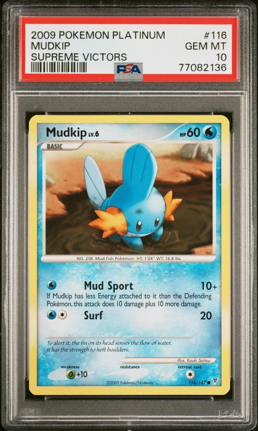 Mudkip