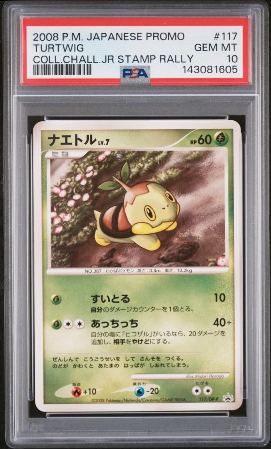 Turtwig