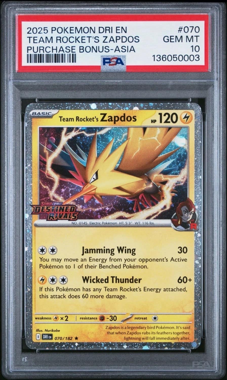 Team Rocket'S Zapdos